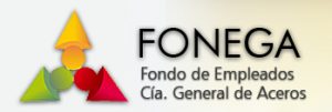 Fonega-2
